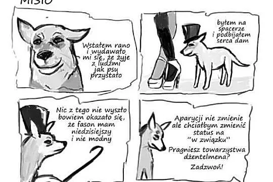 MISIO stracił wszystko, przygarnij psią sierotę