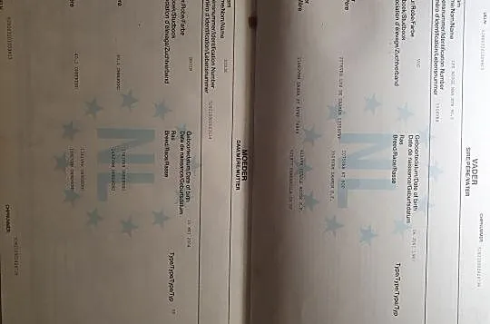 Piękna klacz KWPN, , Pasłęk