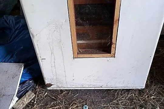 Inkubator  do wylęgu jajek, Podkarpackie, Kolbuszowa