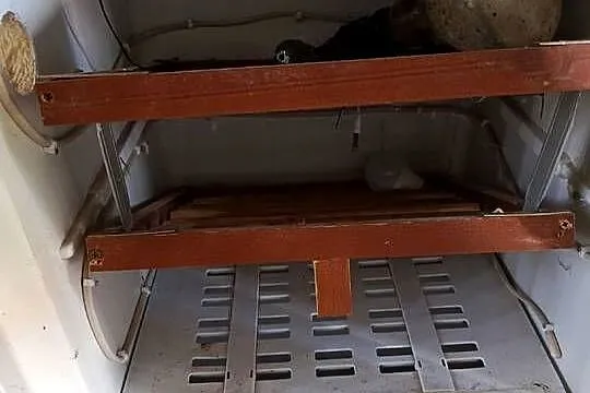 Inkubator  do wylęgu jajek, Podkarpackie, Kolbuszowa