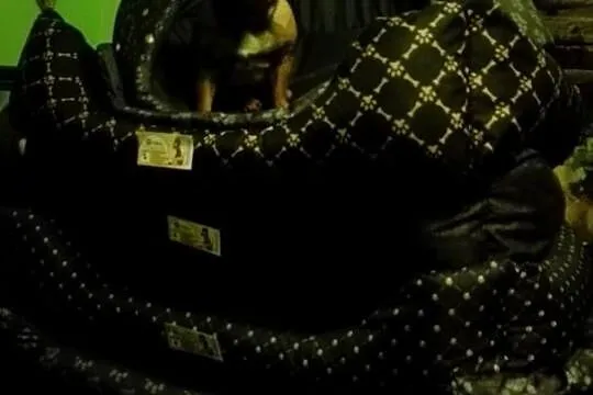 Duże legowisko i kanapa XL i XXL każdy rozmiar kanapy materace pontony, Dolnośląskie, Bolesławiec