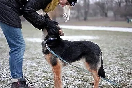 Magnolia do adopcji, co wleje w serce mnóstwo miło