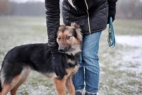 Magnolia do adopcji, co wleje w serce mnóstwo miło