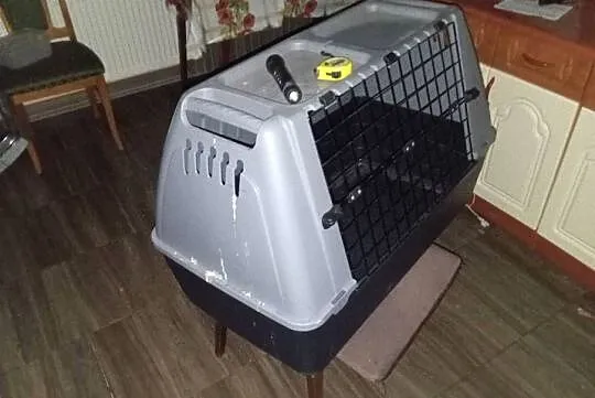 Transporter do auta 88 x 58 x 51, Dolnośląskie, Bolesławiec