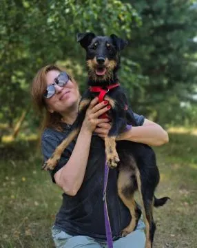 Płotka - młoda terrierka, wesoła, przyjazna sunia!  Czy naprawdę można być tak uroczą, kochaną i kon, , Warszawa