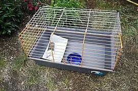 klatka dla królika 60 cm ŚWINKI morskiej pasnik