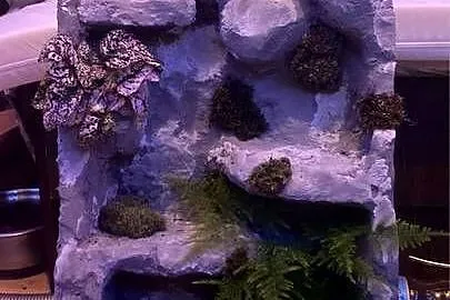Terrarium pionowe 35 x 35 x 70 cm., Małopolskie, Siepraw