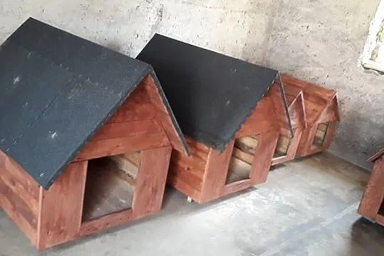 Buda dla psa bardzo duża, Łódzkie, Mauryców