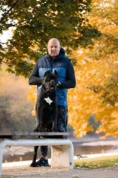Cane Corso – piękny zarejestrowany samiec na sprzedaż, Mazowieckie, Warszawa