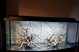 Akwarium Diversa 240 l, tło, Led, grzalka, napowietrzacz, filtr Fluval 407