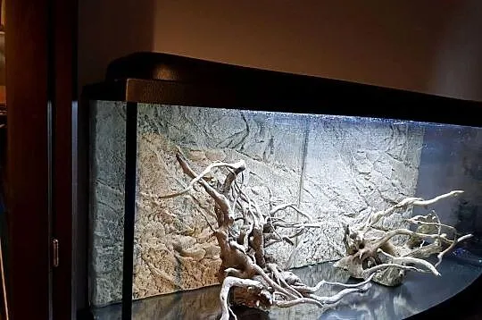 Akwarium Diversa 240 l, tło, Led, grzalka, napowietrzacz, filtr Fluval 407, Śląskie, Żywiec