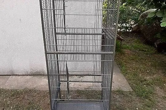 Papuga mnicha nizinna z klatką, Mazowieckie, Grodzisk Mazowiecki