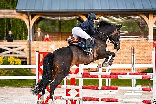 Kaszmir Bijou, , 