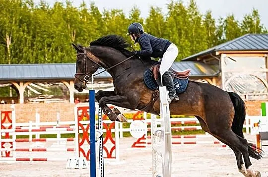 Kaszmir Bijou, , 