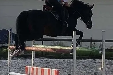 Kaszmir Bijou, , 
