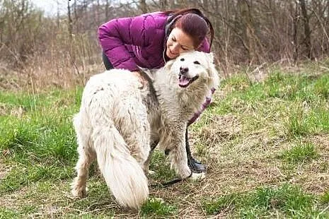 Piękna Bella szuka wyjątkowego i odpowiedzialnego 