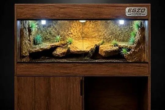 Terrarium pustynne dla gekona lamparciego żółwia greckiego