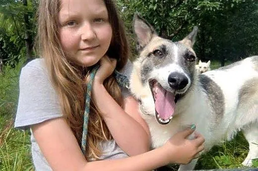Lilka - kochana, psia przylepa o cudownych oczach,