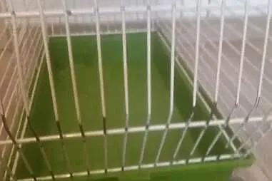 Klatka dla ptaszka kanarka papugi chomika gryzonia, Małopolskie, Kraków