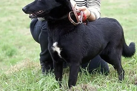 Saba :) Kochana, wierna i przepełniona miłością! A