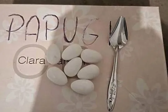 Akcesoria do papug budki, karmidła, witaminy przesiewacz i inne, Śląskie, Czyżowice