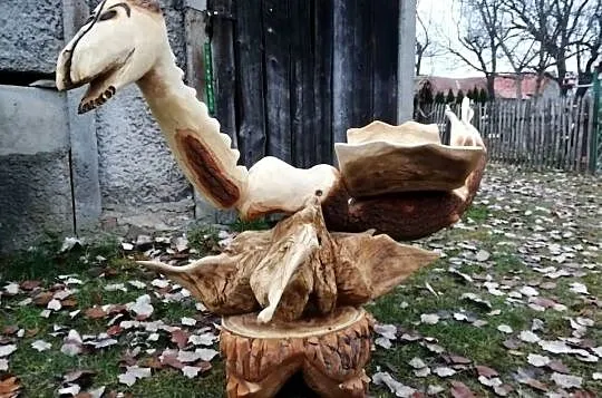 Drapak dla kota z drewna, Dolnośląskie, Wrocław