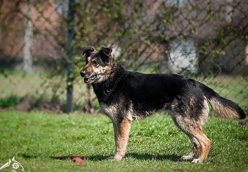 Leo zabawowy i rozrywkowy, Śląskie, Katowice