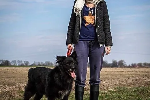 CIAPEK, cudny przytulak gotowy do adopcji!,  kujaw