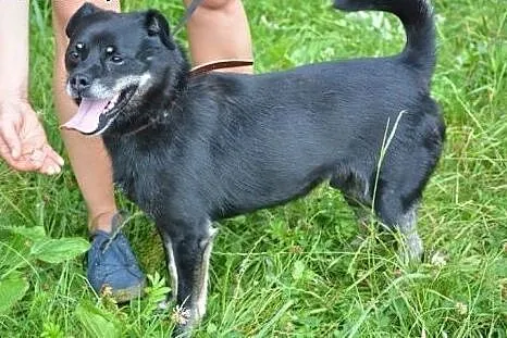Małpiatek już nie ma sił czekać kolejny dzień, mie