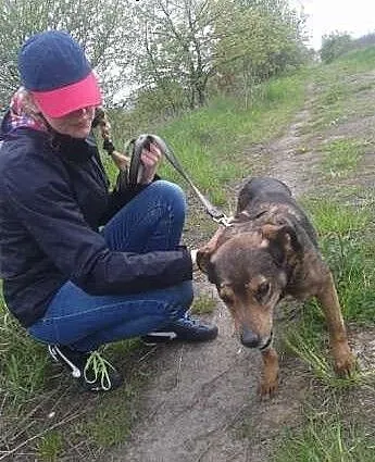 Gucio staruszek, którego ktoś porzucił, śląskie R