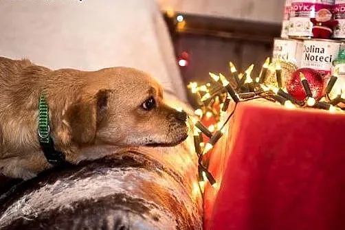 Cóż to za urocza minka? Tak uśmiecha się PRALINKA!