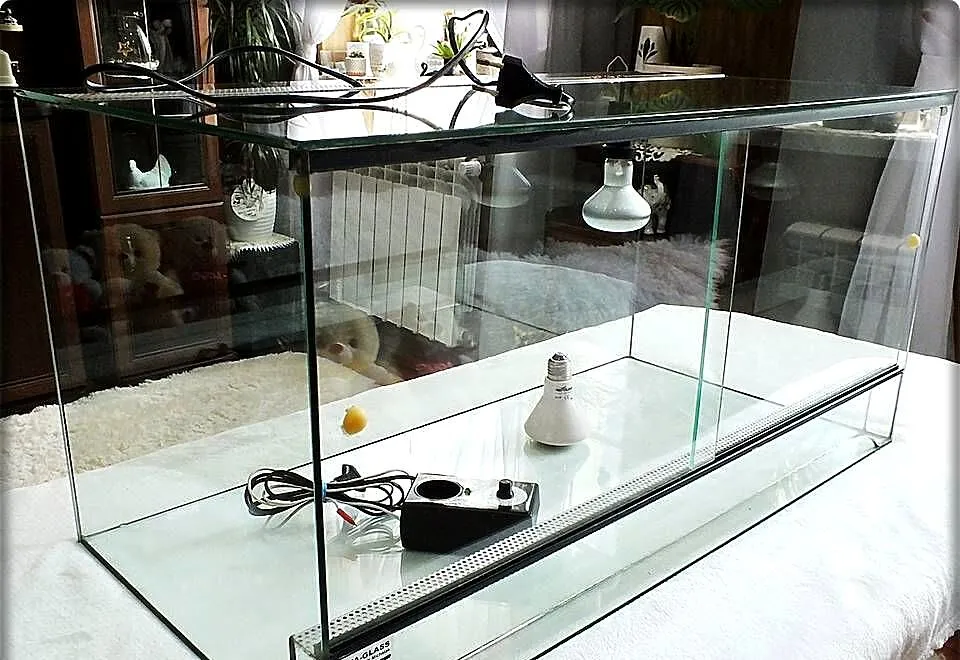 Terrarium szklane 80x40x40 z wentylacją i ogrzewaniem termostatem dla gada, Lubuskie, Lubsko