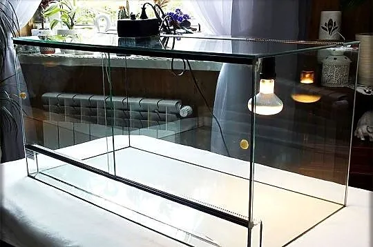 Terrarium szklane 80x40x40 z wentylacją i ogrzewaniem termostatem dla gada, Lubuskie, Lubsko