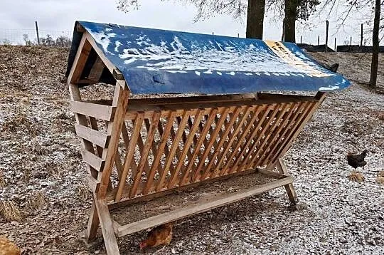 Paśnik dla zwierząt
