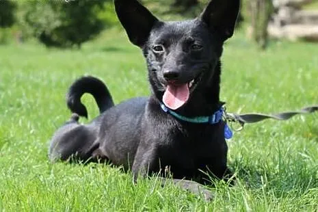 Coco.Jestem sama...,  kujawsko-pomorskie Bydgoszcz