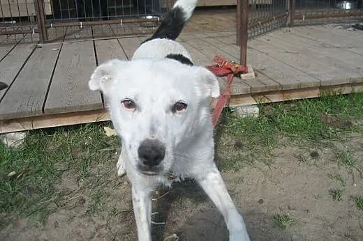Urocza Babe,  łódzkie Łask