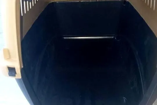 Transporter dla kota, Śląskie, Częstochowa