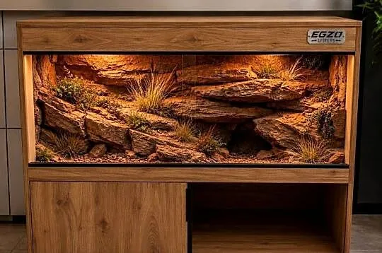 Okazja terrarium dla gekona lamparciego agamy brodatej