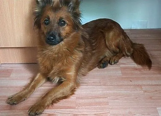 CUDOWNA SUNIA SZUKA KOCHAJĄCEGO SPOKOJNEGO DOMU NA