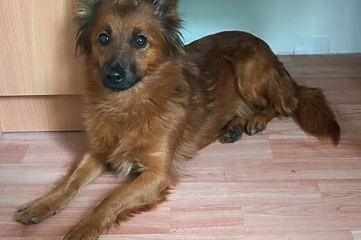 CUDOWNA SUNIA SZUKA KOCHAJĄCEGO SPOKOJNEGO DOMU NA