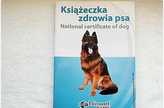 Książeczka Zdrowia Psa Biowet Puławy Owczarek Niemiecki Nowa, Lubuskie, Lubsko