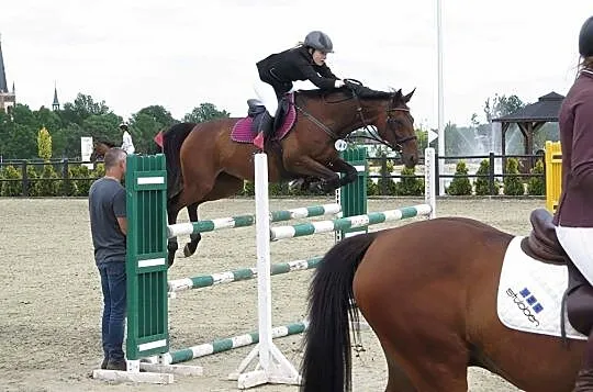 2 ogiery 4 lata do sportu rekreacji, , 