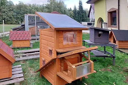 domek kota kotów, Łódzkie, Skierniewice