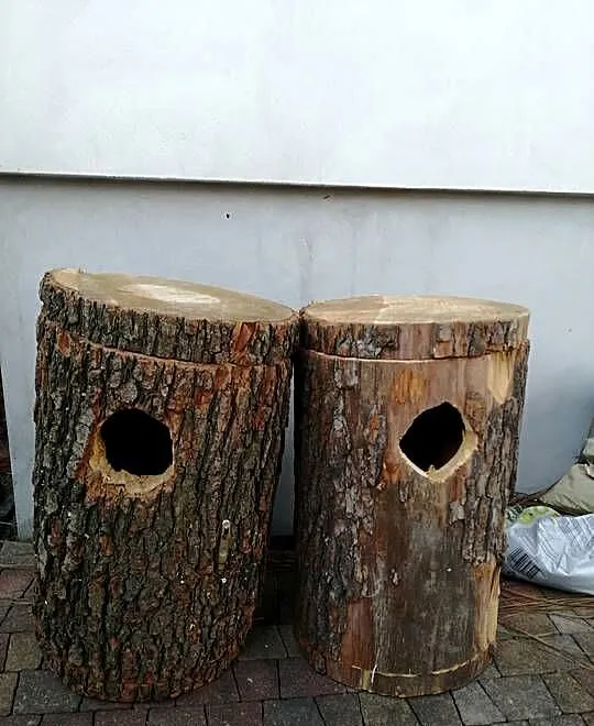 budki lęgowe z pnia, Małopolskie, Limanowa