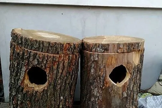 budki lęgowe z pnia, Małopolskie, Limanowa