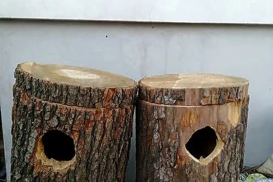 budki lęgowe z pnia, Małopolskie, Limanowa