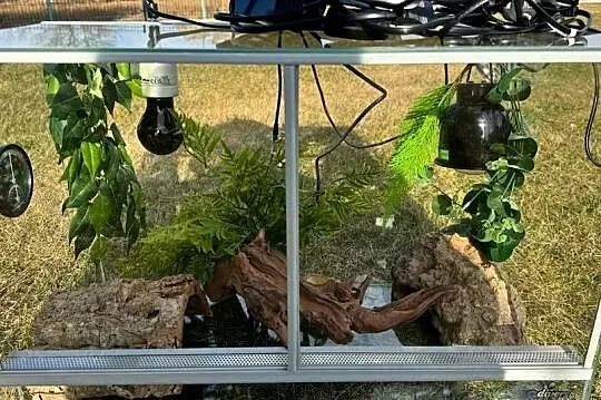 Terarium dla gekona lamparciego. Odbiór osobisty.