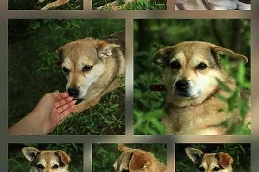Pixi i Ceda dwie piękne siostrzyczki szukają kocha