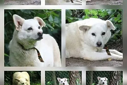 Pixi i Ceda dwie piękne siostrzyczki szukają kocha