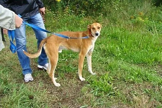 Harry nauczył się jak mieszkać w domu, jest grzecz